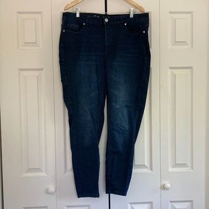 Addition Elle Dark Wash Skinny Jeans